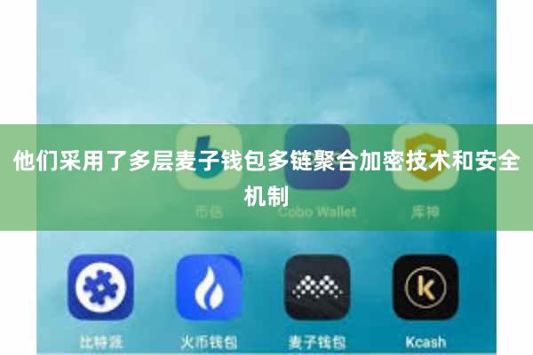 他们采用了多层麦子钱包多链聚合加密技术和安全机制